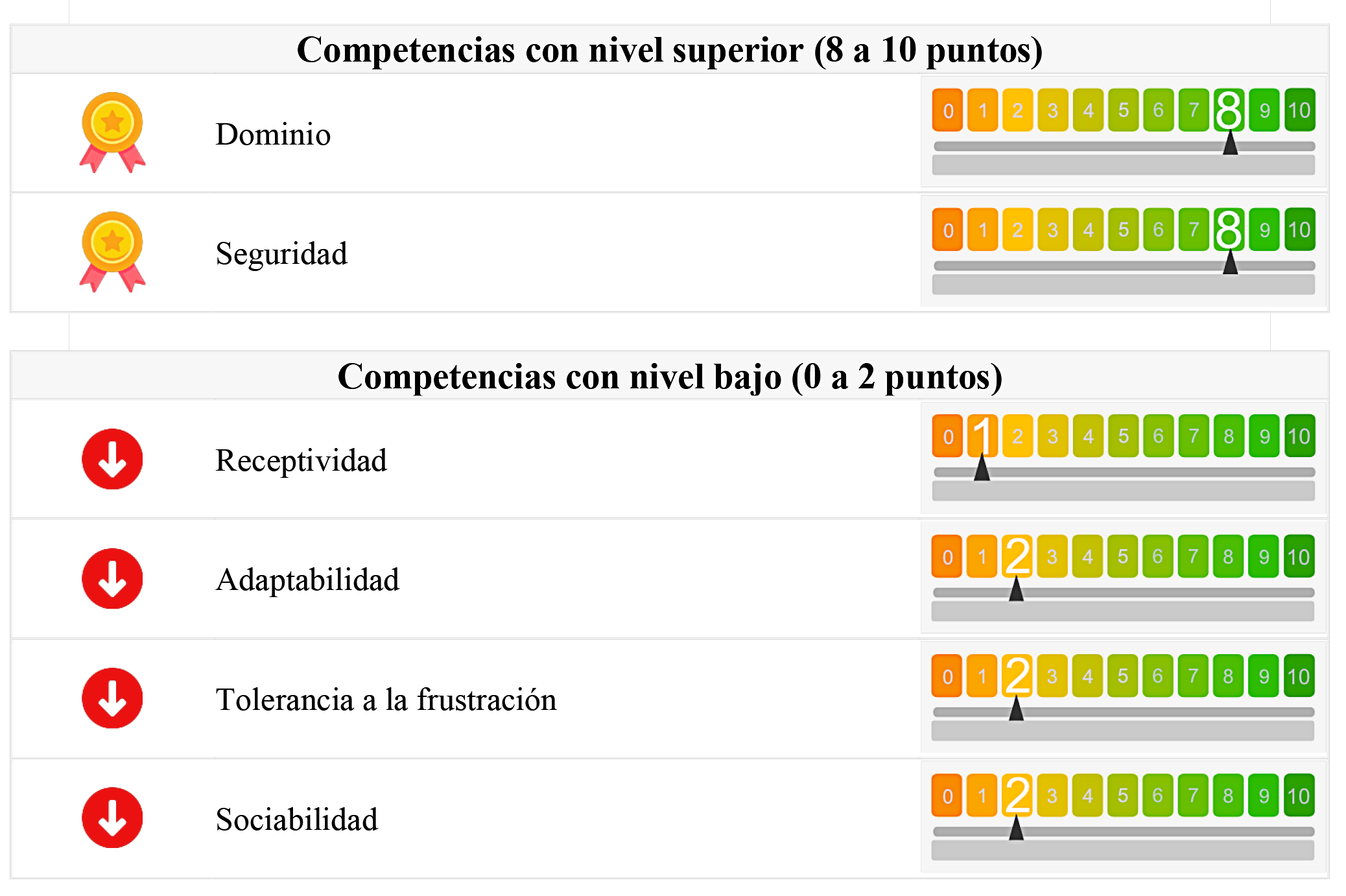 Resumen fortalezas del evaluado