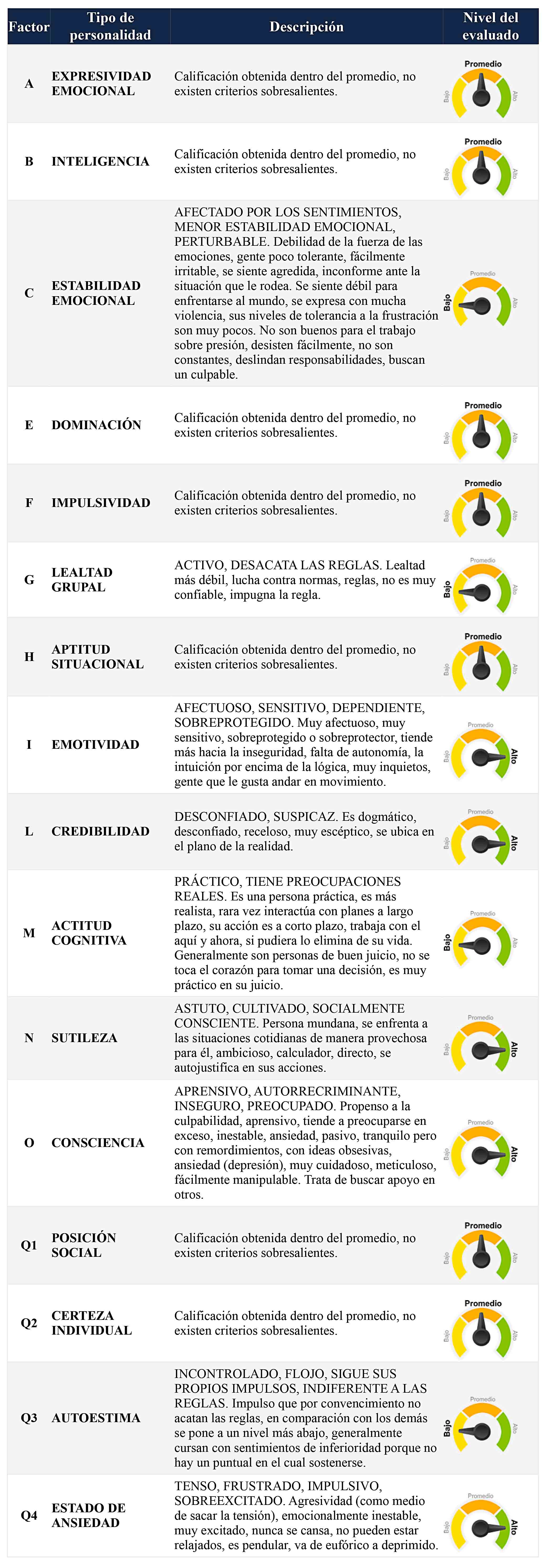 Reporte cualitativo individual